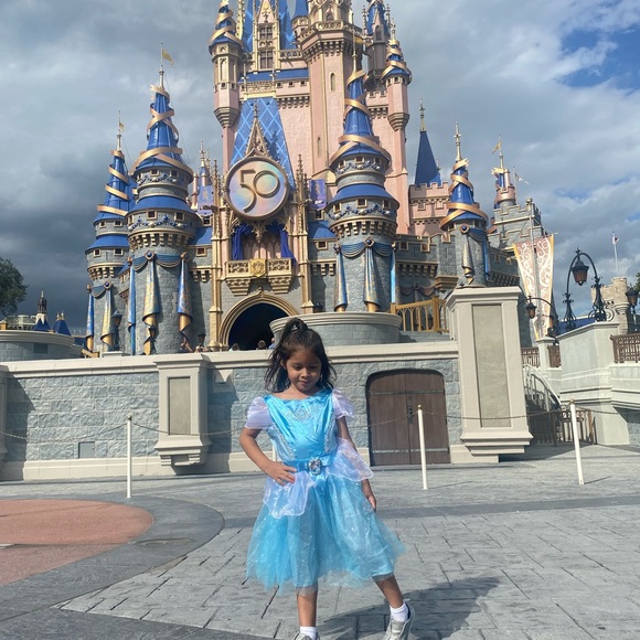 PO: Disney Princess Cinderella Costume.👗 - Picture 2 of 9